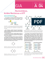 Ácidos Nucleicos