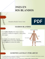 Lesiones en Tejidos Blandos