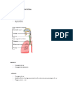 Resumo Sistema Respiratório