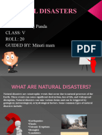 Natural Disaster