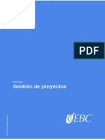 Gestión de Proyectos