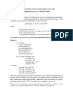 E Tarea 6 Representación de Números Reales