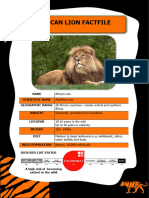 African Lion Factfile