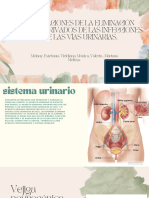 Alteración de La Eliminación Renal