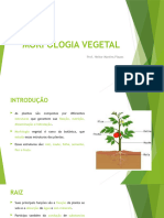 Morfologia Vegetal