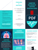 Habitos Saludables Sistema Respiratorio