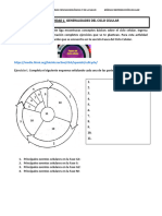 Actividad 1 Generalidades Del Ciclo Celular