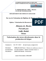 Valorisation Des Terres Décolorantes Dans La Production de Brique.