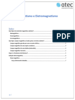 Magnetismo e Eletromagnetismo