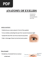 Anatomy of Eyelids 