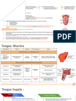Tongue Anatomy