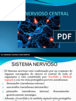 Sistema Nervioso Central 23