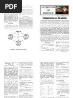 12 La Organización de La Iglesia