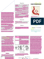 Folleto Equistosomiasis - 050816