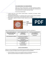 Quistes Odontogénicos y No Odontogénicos