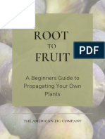 Root To Fruit A Beginners Guide To Propagating Your Own Plants