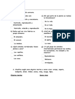 EXAMEN CONO 3° Primaria