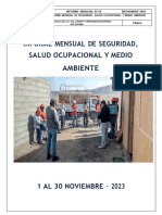 Informe Mensual de Seguridad-Marcona, Noviembre 2023-Ok