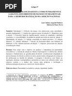 A Paternidade Socioafetiva Como Fundamento e Garantia Dos Direitos Humanos e Fundamentais para A Desburocratização Da Adoção Nacional