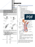 ORQUITIS