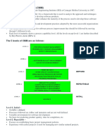 3 Capability Maturity Model