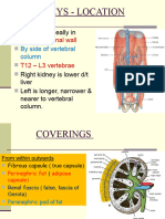 L31 - Renal System