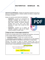 Tema 1. Características Generales Del Metabolismo