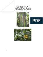 Noes Bsicas em Dendrologia Apostila03