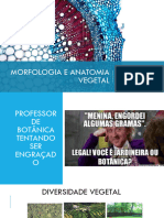 Morfologia e Anatomia Vegetal