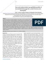 Isolation, Identification and Antimicrobial Susceptibility Profile of Pseudomonas Species Isolated From Pig (Sus Scrofa) Feces in Owo Metropolis