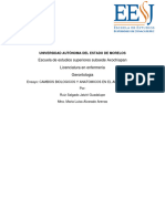 Cambios Biologicos y Anatomicos en El Adulto Mayor