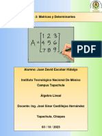 Tema 2 Algebra Lineal JuanD EscobarH