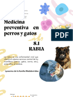 Medicina Preventiva