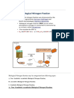 Nitrogen Fixation