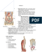 ANATOMÍA