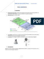 Tema 3. Bádminton