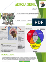 Demencia Senil Final