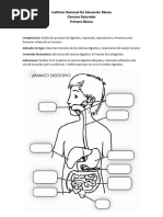 PDF Documento