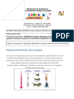 Desenvolvimento Dos Insetos