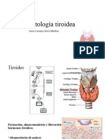 Fisiopatología Tiroidea