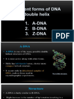 Dna Types