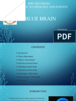 Blue Brain