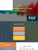 X and Y Chromosomes (17.9, 3.21) - 2