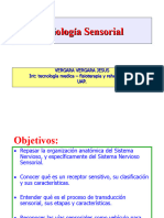 Fisiologia Sensorial