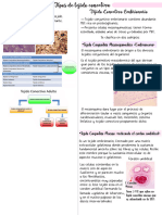 Resumen Histologia