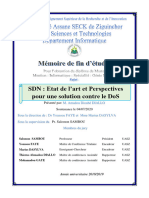 Memoire Amadou Diouhé Diallo