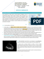 Soplos Cardiacos