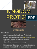 3rd Lects KINGDOM PROTISTA Combine