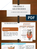 TIROIDES Y PARATIROIDES Presentación Por