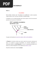 Resumen Evolución